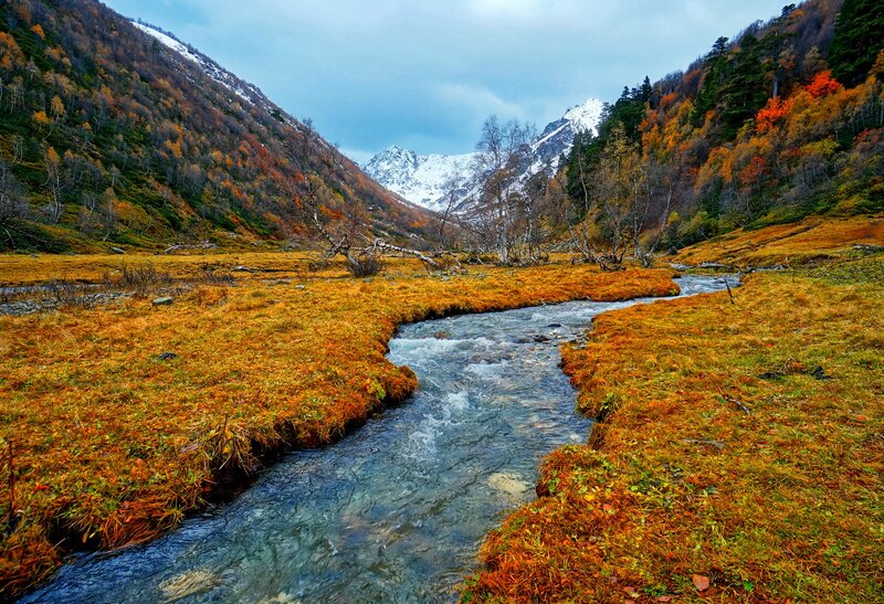 Stream in Autumn Valley — Orange