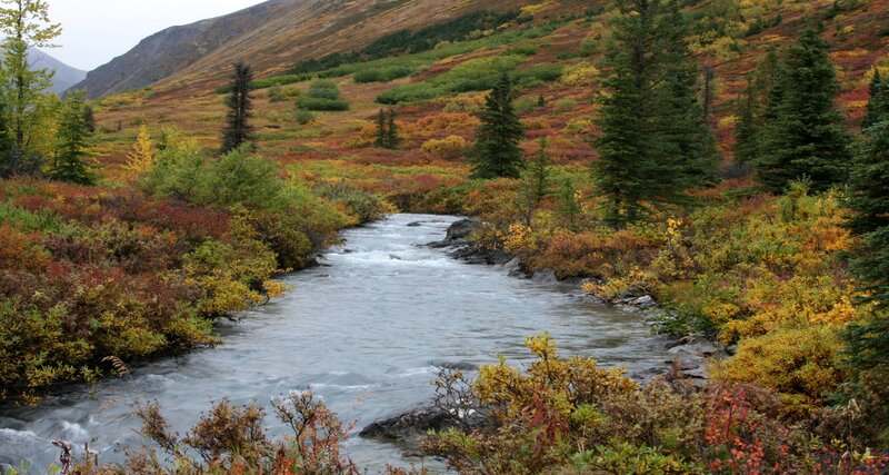 Stream in Autumn Valley