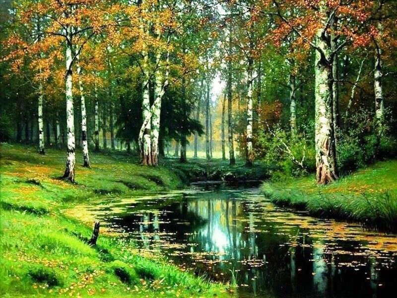 Stream in Birch Forest
