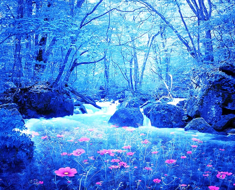 Stream in Blue Forest