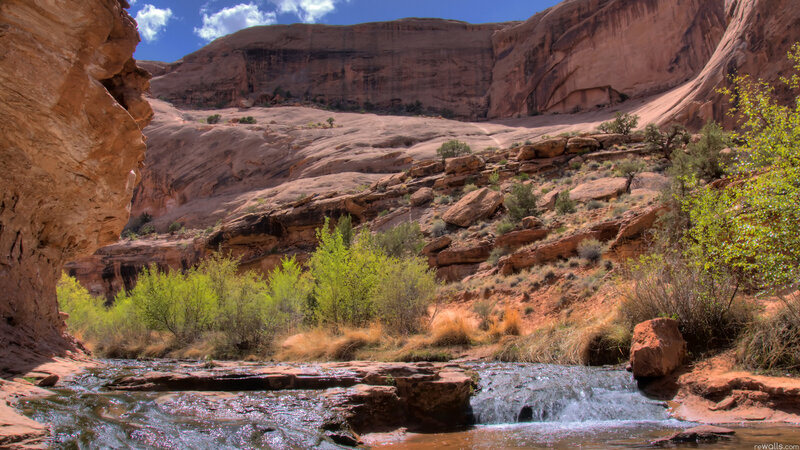Stream in Canyon — Brown, Serene, Afternoon
