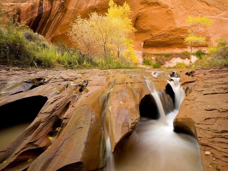 Stream in Canyon — Brown, Serene