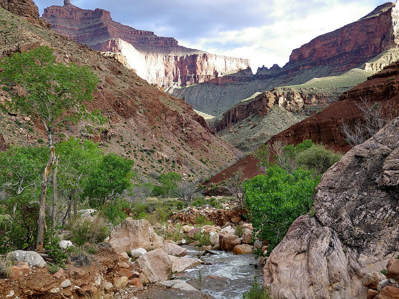 Stream in Canyon — Brown