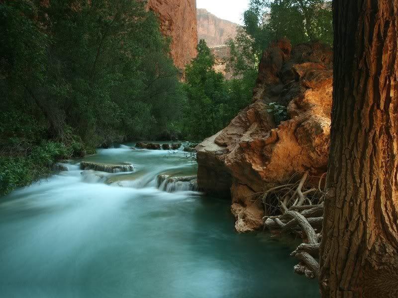 Stream in Canyon — Green, Serene, Afternoon