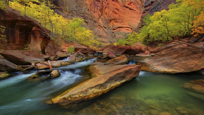 Stream in Canyon — Green, Serene, Autumn, Photograph, Trees, Rocks, Brown
