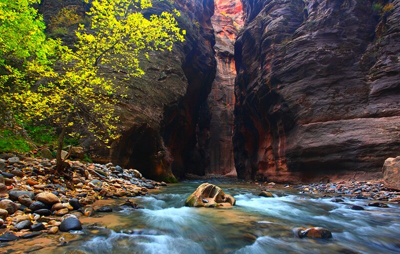 Stream in Canyon — Green, Serene, Autumn, Photograph, Trees, Rocks