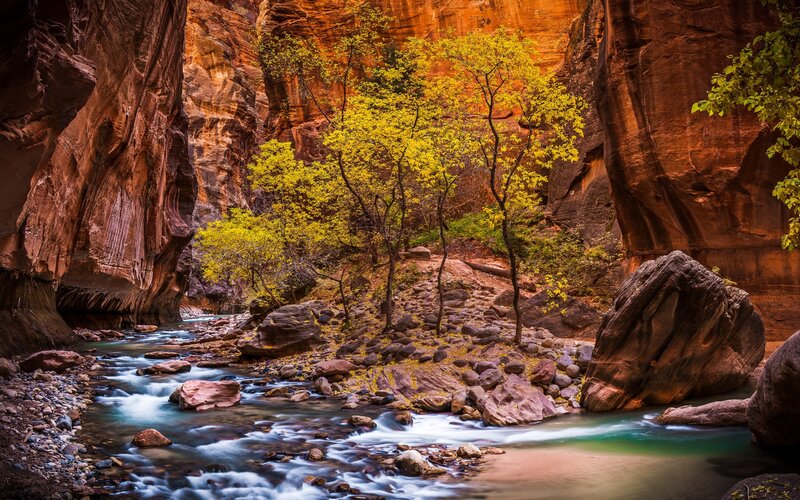 Stream in Canyon — Red, Serene