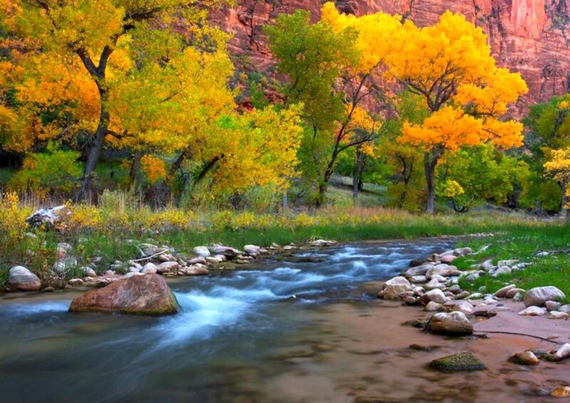 Stream in Canyon