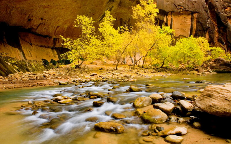 Stream in Canyon — Yellow, Serene, Autumn