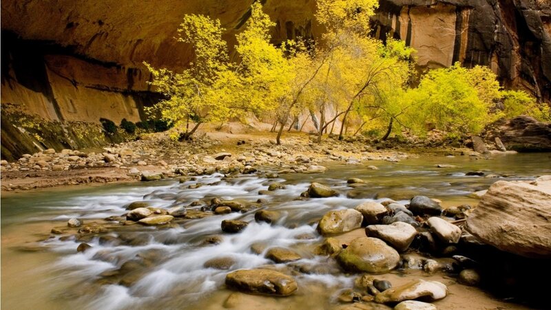 Stream in Canyon — Yellow