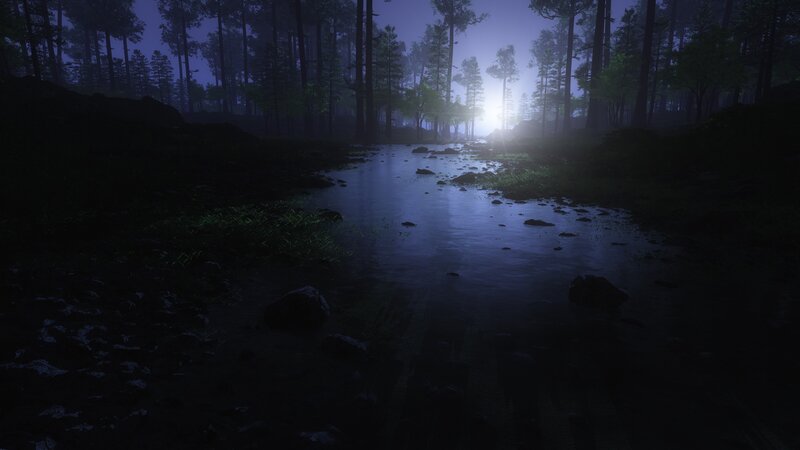 Stream in Dark Forest