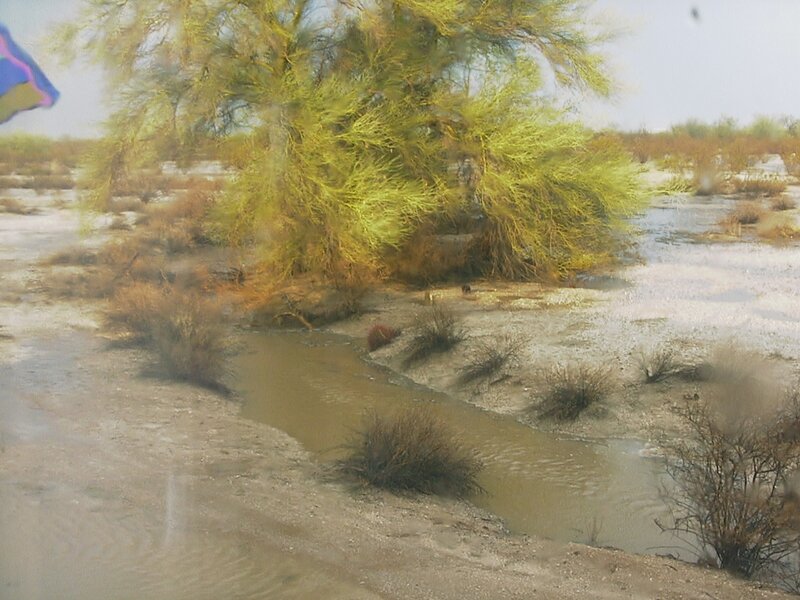 Stream in Desert Landscape