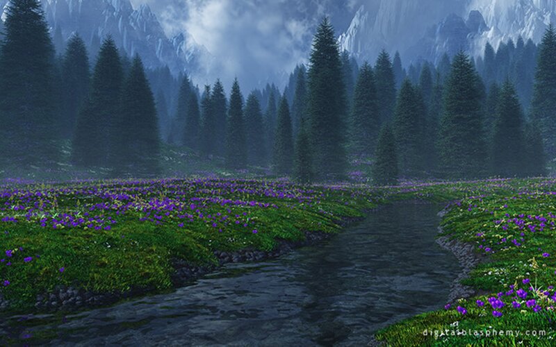Stream in Flower Field