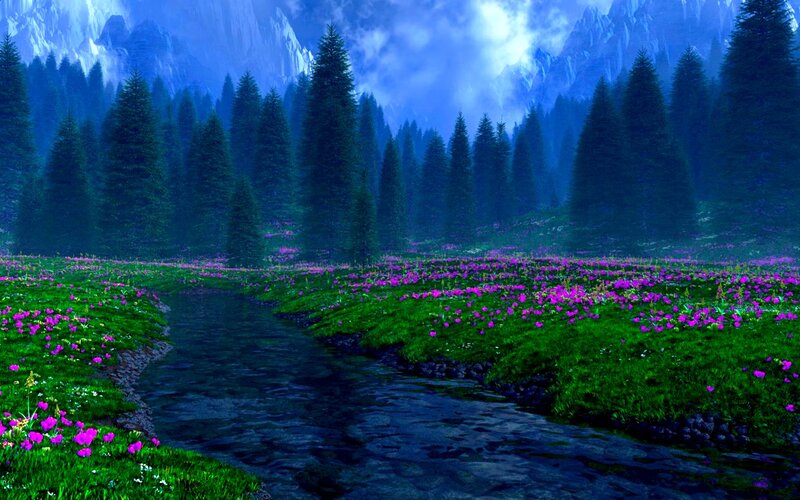 Stream in Flower Meadow