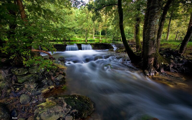 Stream in Forest — Afternoon, Blue