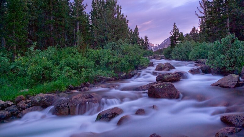 Stream in forest at dusk