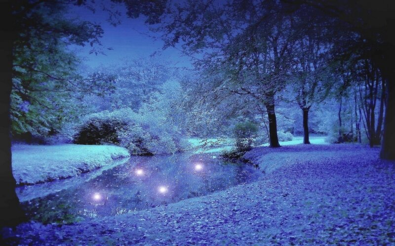 Stream in Forest at Night