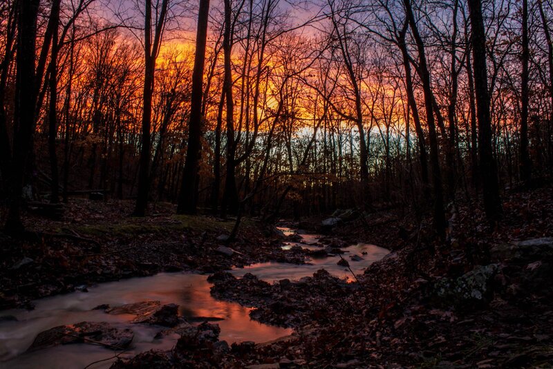 Stream in Forest at Sunset — Orange, Dramatic