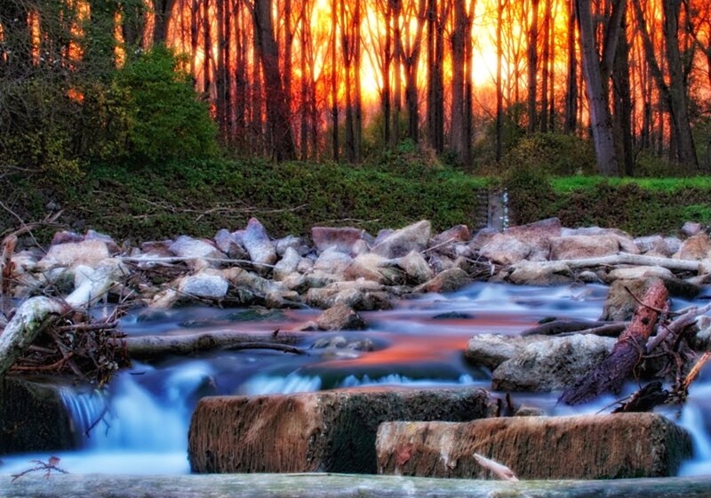 Stream in Forest at Sunset — Orange, Serene