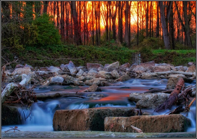 Stream in Forest at Sunset — Orange