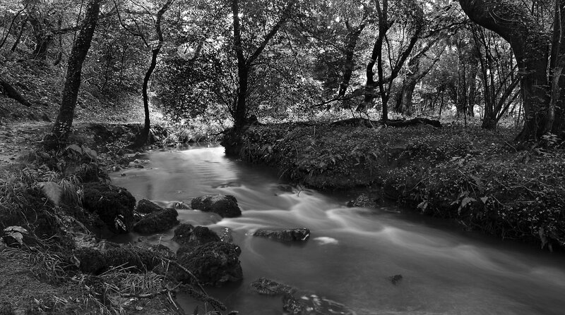 Stream in Forest — Black