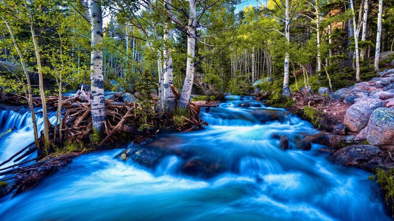 Stream in Forest — Blue, Serene, Afternoon, Photograph