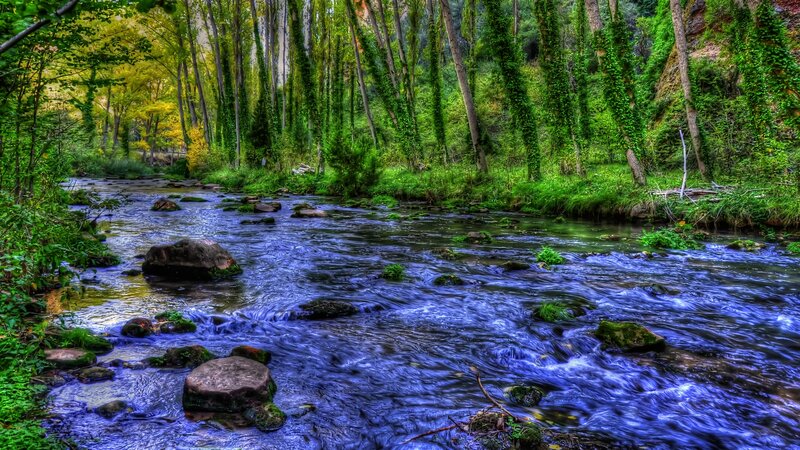 Stream in Forest — Blue, Serene, Afternoon