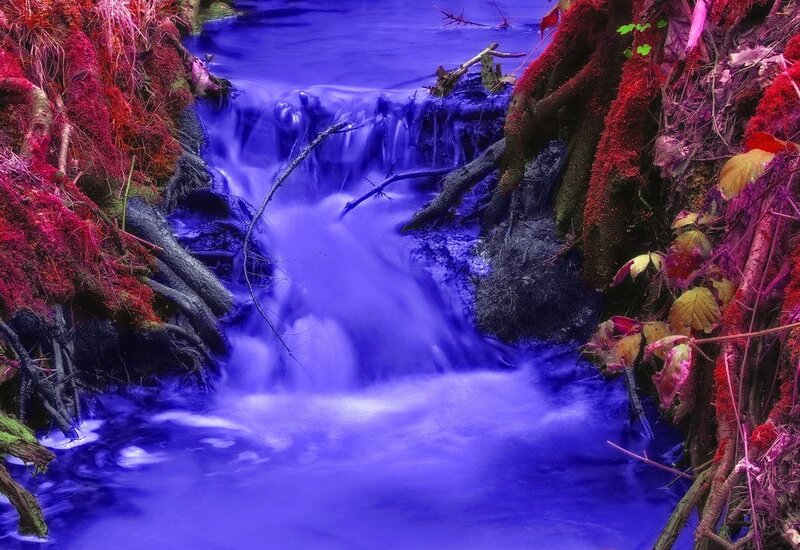 Stream in Forest — Blue, Serene, Photograph