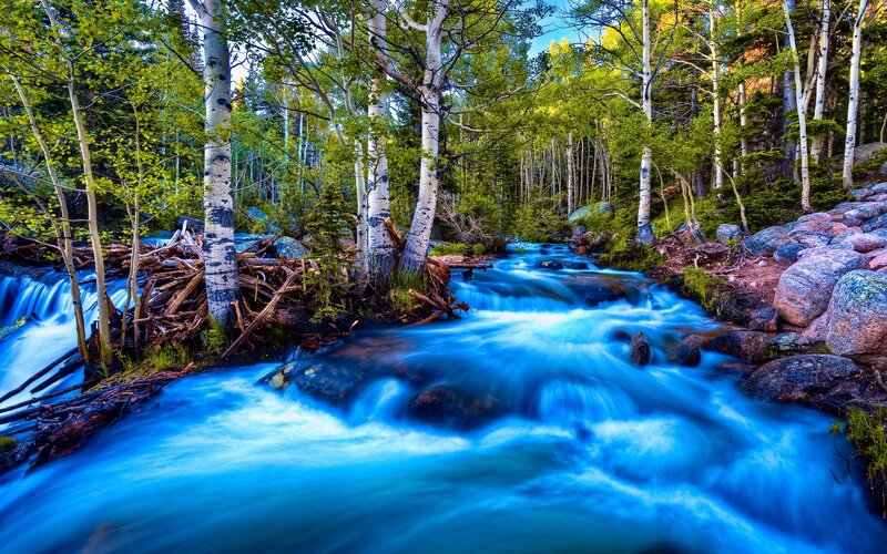 Stream in Forest — Blue, Serene