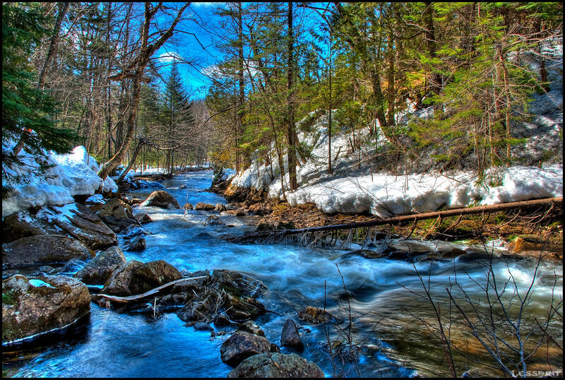 Stream in Forest — Blue