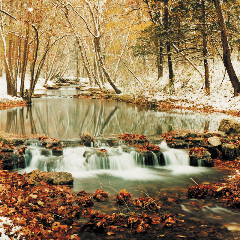 Stream in Forest — Brown, Serene, Autumn, Photograph