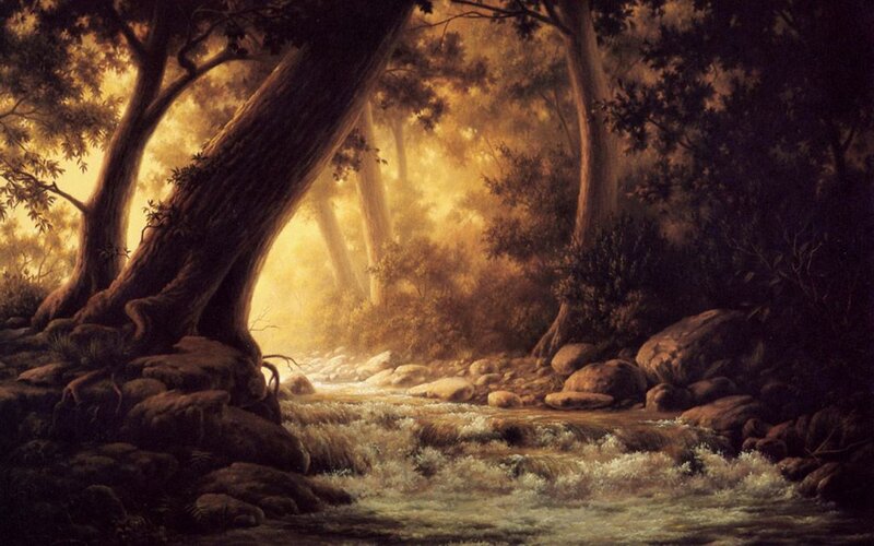 Stream in Forest — Brown, Serene, Sunset