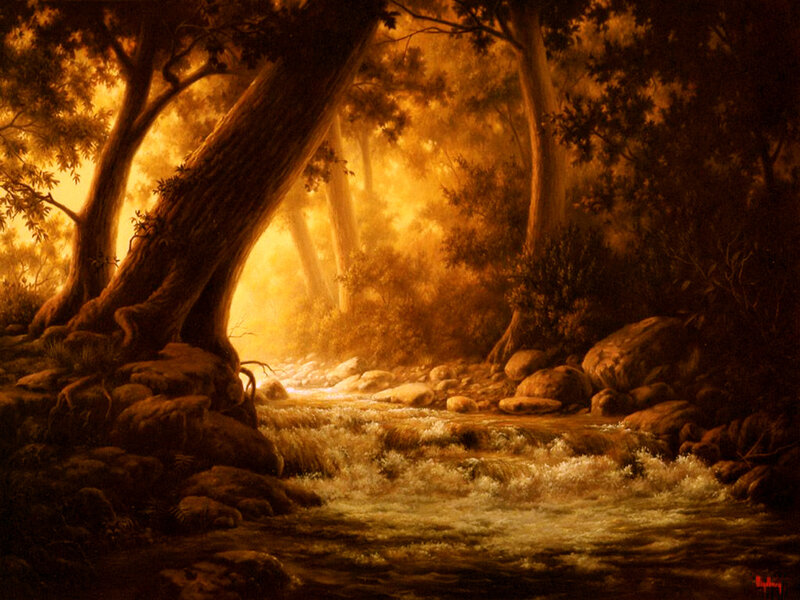 Stream in Forest — Brown