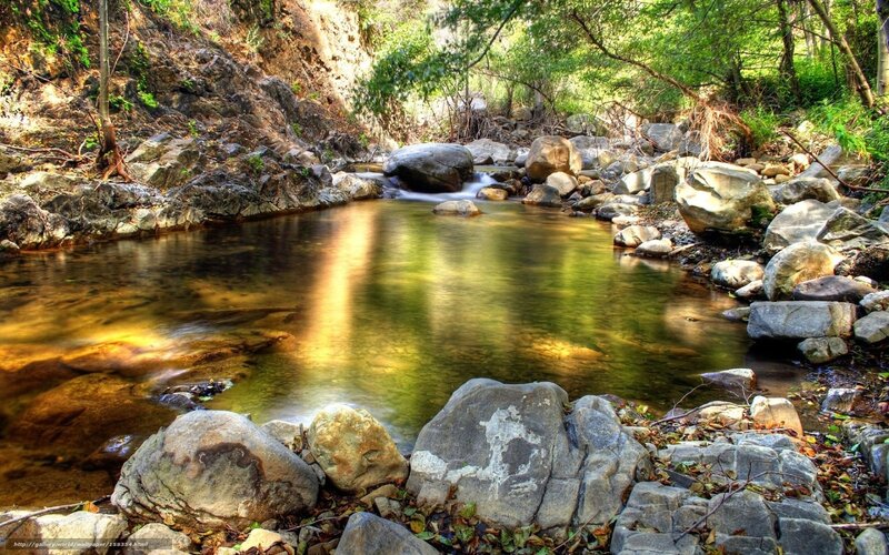 Stream in Forest Canyon — Green, Serene, Afternoon, Photograph, Rocks, Trees