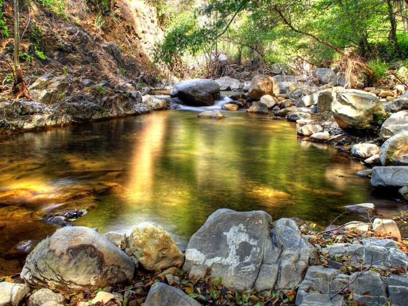 Stream in Forest Canyon — Green, Serene, Afternoon, Photograph, Rocks, Trees, Water