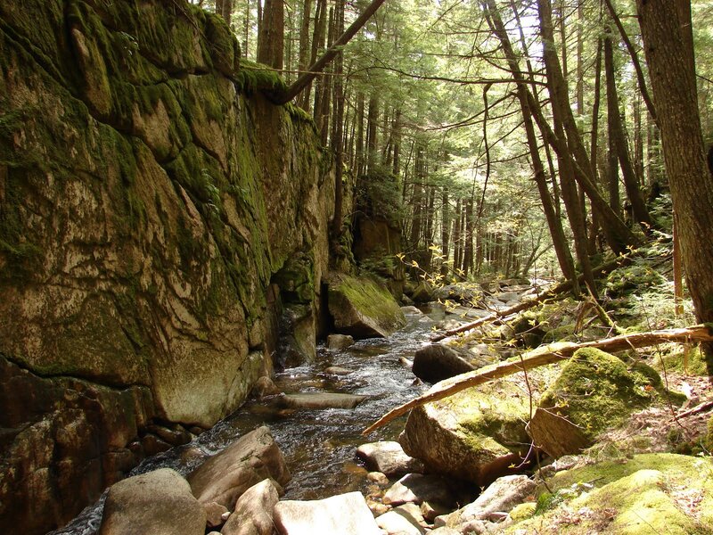 Stream in Forest Canyon — Green, Serene, Afternoon, Photograph, Trees, Rocks
