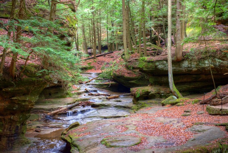 Stream in Forest Canyon — Green, Serene, Autumn, Photograph, Trees, Rocks