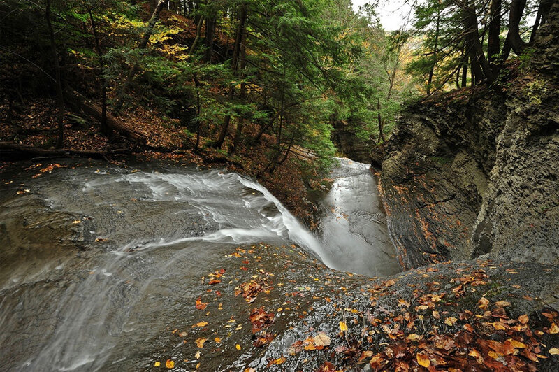 Stream in Forest Canyon — Green, Serene, Autumn