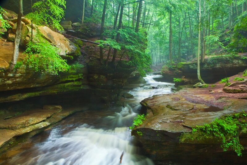 Stream in Forest Canyon — Green, Serene, Morning, Photograph, Trees, Rocks