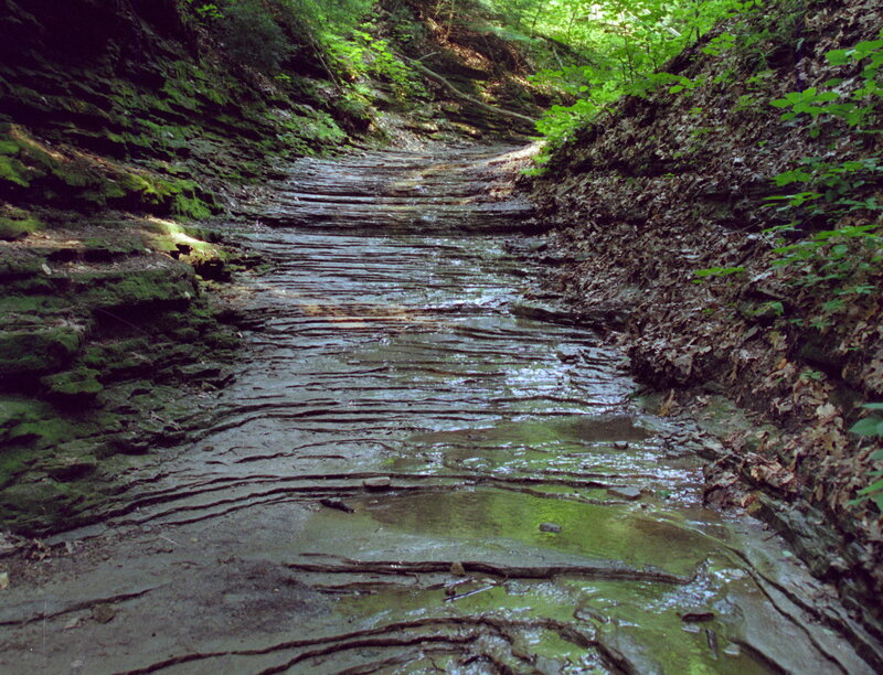 Stream in Forest Canyon — Green