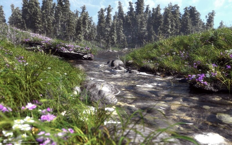 Stream in Forest Clearing — Green, Serene, Afternoon, 3d Render