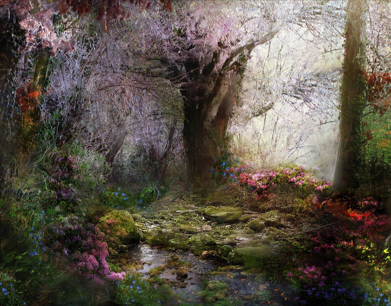 Stream in Forest Clearing — Green, Serene, Spring