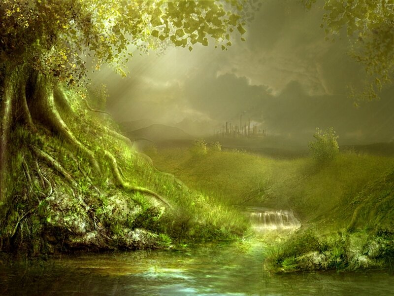 Stream in Forest Glade