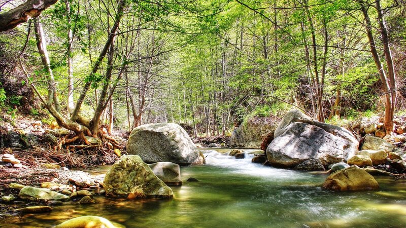 Stream in Forest — Green, Blue