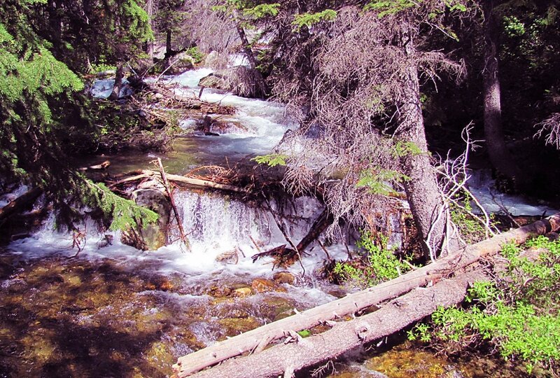 Stream in Forest — Green, Natural, Afternoon, Photograph