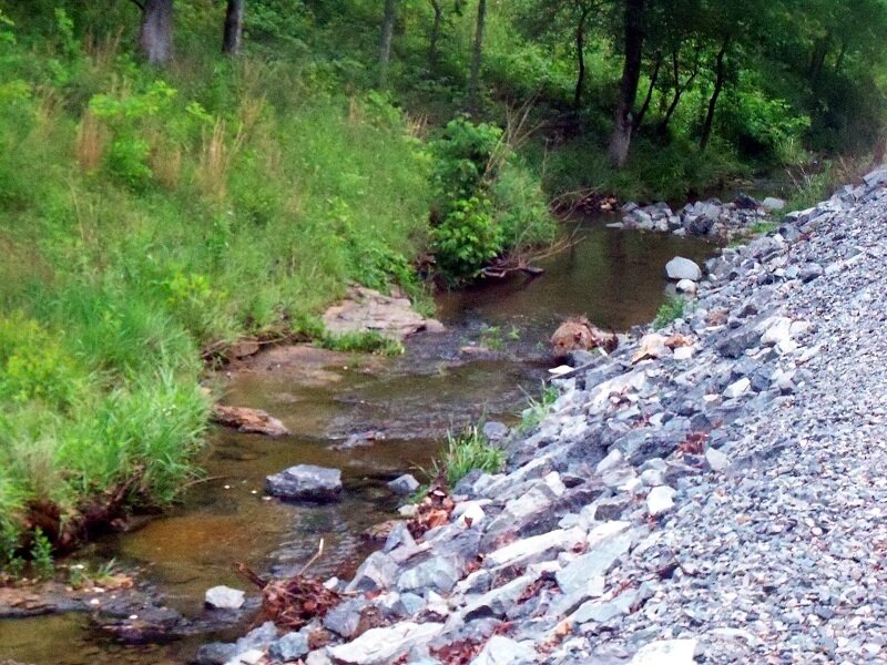Stream in Forest — Green, Natural, Afternoon