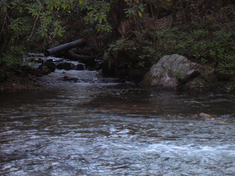 Stream in Forest — Green, Natural, Night