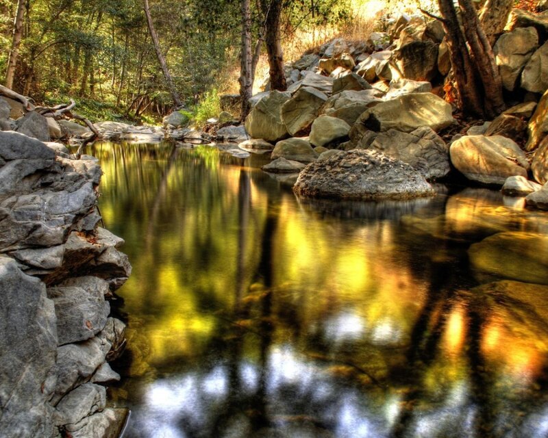 Stream in Forest — Green, Reflection