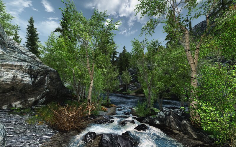 Stream in Forest — Green, Serene, Afternoon, 3d Render