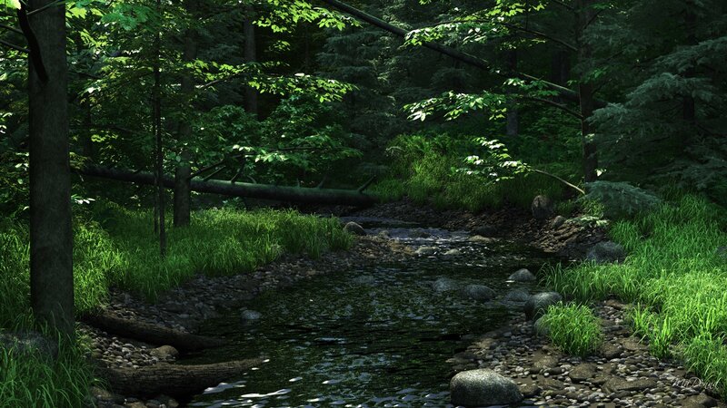 Stream in Forest — Green, Serene, Afternoon, Digital Art, Trees